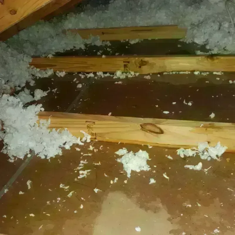 Attic Water Damage in Mendon, VT